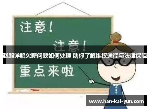 赵鹏详解欠薪问题如何处理 助你了解维权途径与法律保障