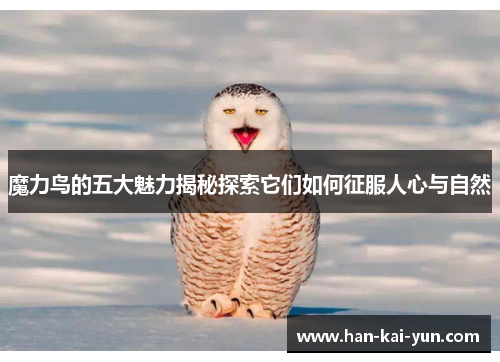 魔力鸟的五大魅力揭秘探索它们如何征服人心与自然